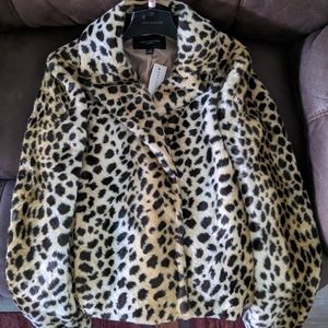 NWT Ann Taylor fur leopard coat/jacket xs